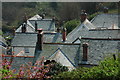 The rooftops of Clovelly