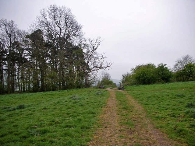 Track through Woodland