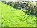 Farm boundary fence