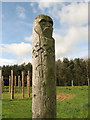 NT9433 : Maelmin - reconstruction of henge by Lisa Jarvis