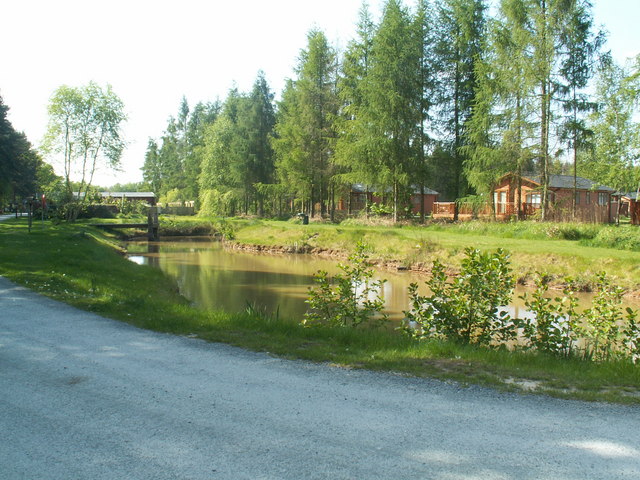 Wildlife pond in The Hollicarrs