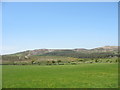 SH4783 : View across the Lligwy valley in the direction of Mynydd Bodafon by Eric Jones