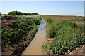 Drainage ditch by Millthorpe Drove