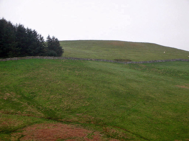 Shoulder Hill