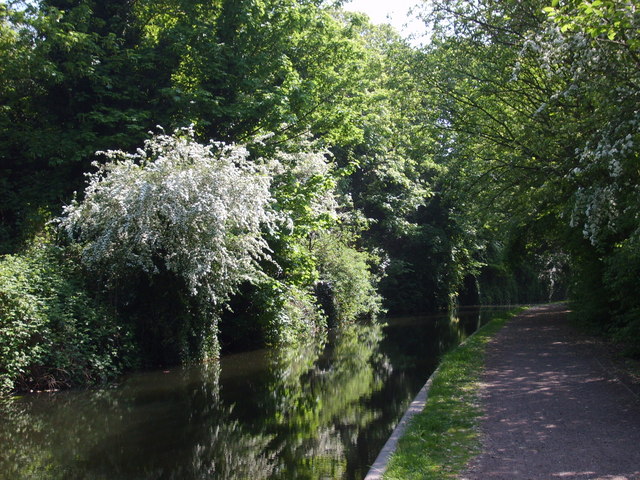 Monarch's Towpath