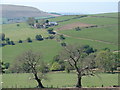 Farm on Craig-wen near Abertridwr