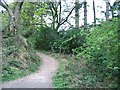 Bridle path adjacent to Craig-y-nos Country Park