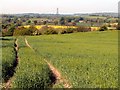 From Fall head Farm to Lower Norcroft Farm