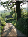 Cottage near Rockerhayne