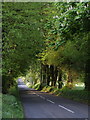 Road south of Lewtrenchard