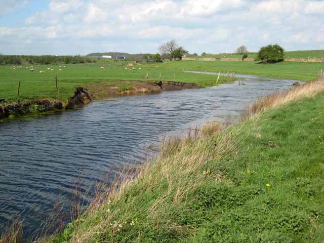 Ponded stream near Bishop Middleham © Oliver Dixon cc-by-sa/2.0 ...