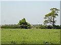 Mouldsworth; view across the Gowy plain