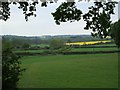 View from Hatt Hill