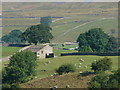 Field barn near Askrigg