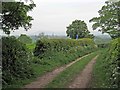 Footpath in Brownlow