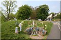 Wyche Spring - 2007 Well Dressing