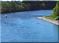 Salmon angler on the Dee