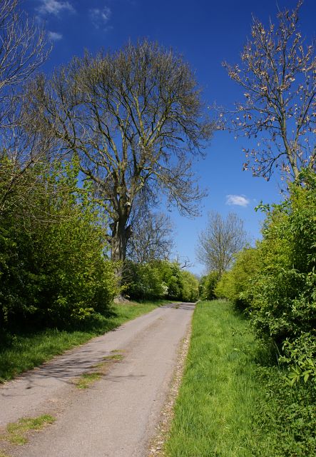 Meadow Lane near Woodhouses