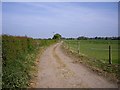 Footpath along farm road