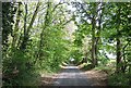 Chapel Lane, near Quatford, Shropshire