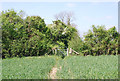 Footpath (bridleway) crossing field