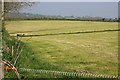 SX3476 : Fields of Grass by Tony Atkin