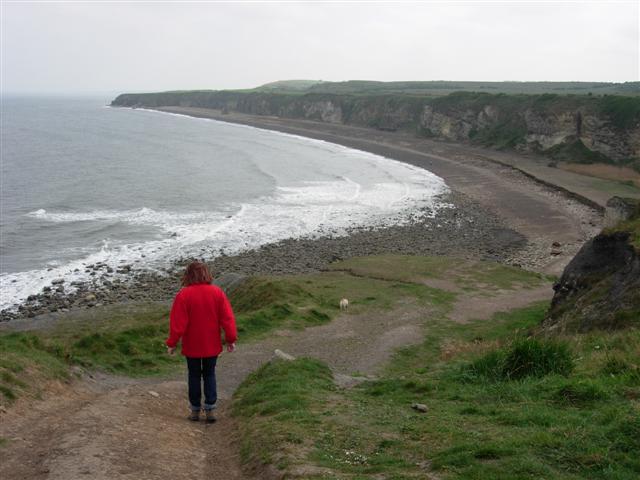 The Blast Beach viewed from Nose's Point