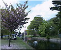 At the Head of the Driffield Canal