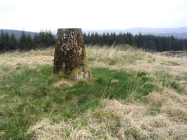 Moss covered trig point