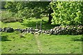 Stile near Bryn Gwynant, Snowdonia