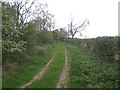 TF7831 : Track near Bircham Common by Nigel Jones
