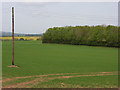 Farmland, Apsley