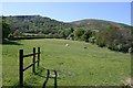 Horse Pasture, Upper Welland