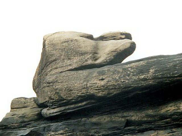 Cows Head Rock