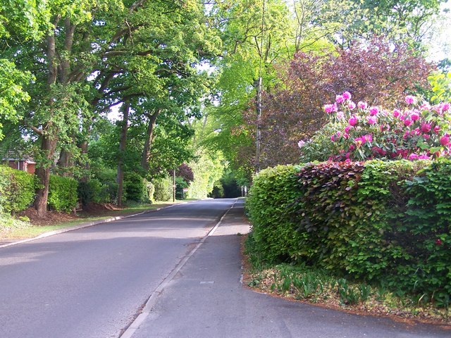 Whinwhistle Road, East Wellow