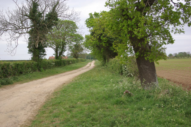 Track to Inmere Farm