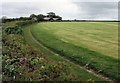 Footpath to Bradaford