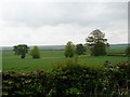 View from Lodge Farm road