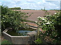 North East view from the lane between Brackenscales Farm and Moss House Farm