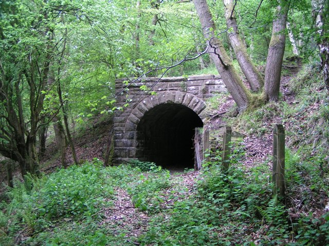 Tramway tunnel at Point Quarry Sidings © Andrew Goodenough cc-by-sa/2.0 ...