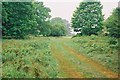 Footpath towards Chillesford