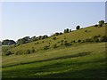 Downland, Mapledurham