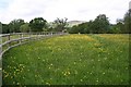 Horse Pasture, Welland