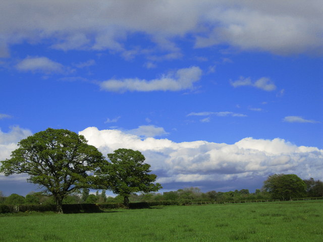 Kirklington Farmland
