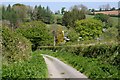 The Valley at St Lawrence