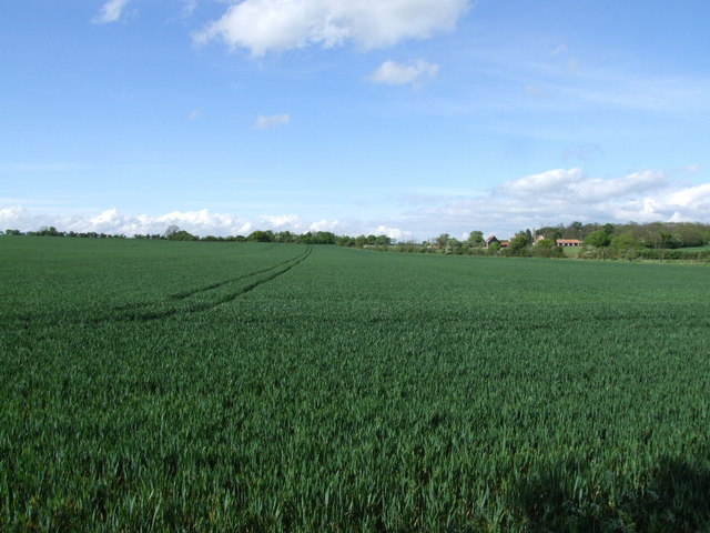 A field next to Bedford Road