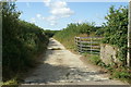 Farm road to Vealand