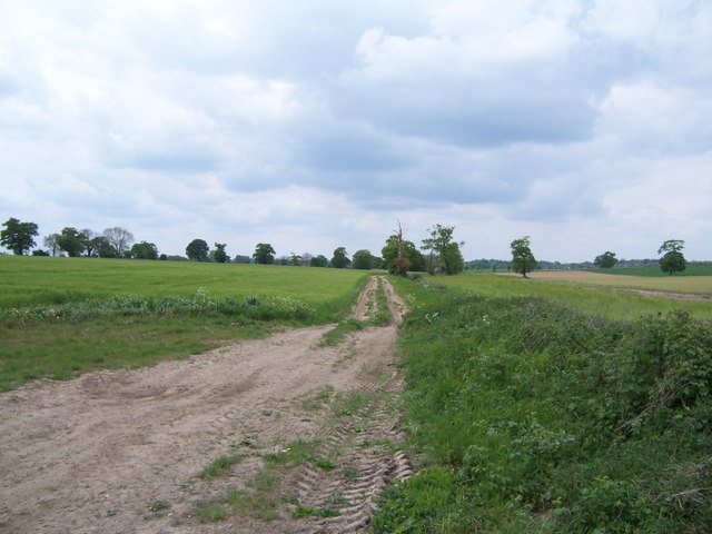 Farmtrack off Blofield Road