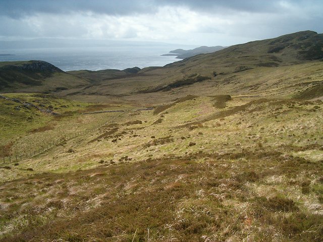 Upland grazing on Scarba