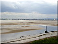 SJ4481 : The River Mersey from Dungeon Bank by Andy Beecroft